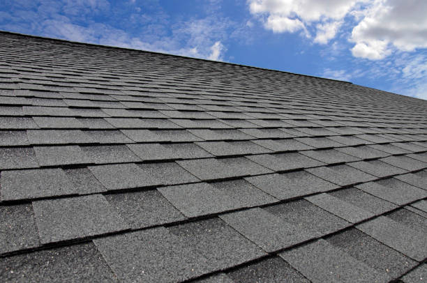 Best Roof Maintenance and Cleaning  in Ferrum, VA